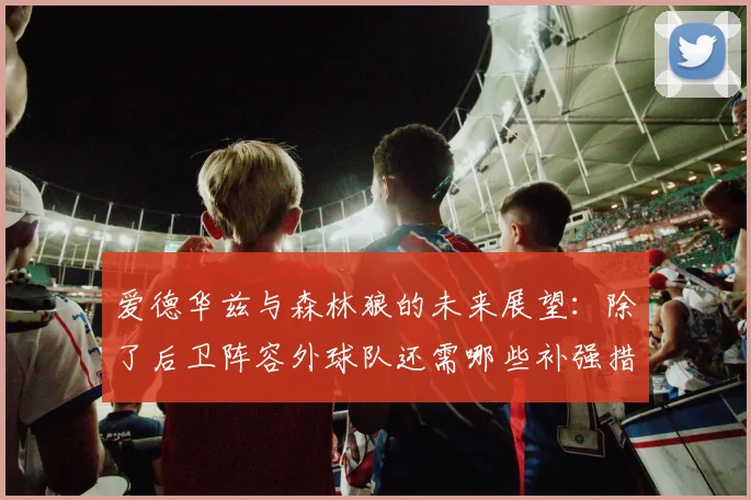 爱德华兹与森林狼的未来展望：除了后卫阵容外球队还需哪些补强措施